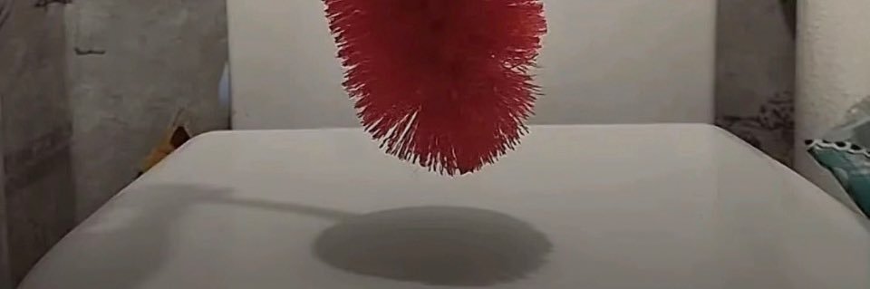 Karl Konrad Hoffmann II banner