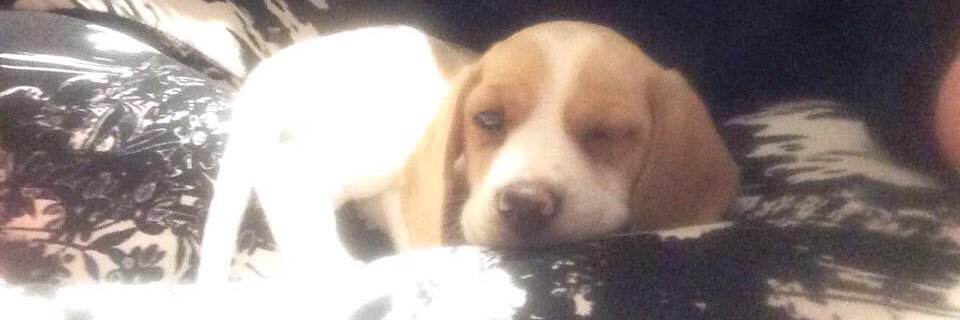 Misnerkb's profile banner image