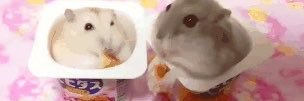 mok_amarg0's profile banner image
