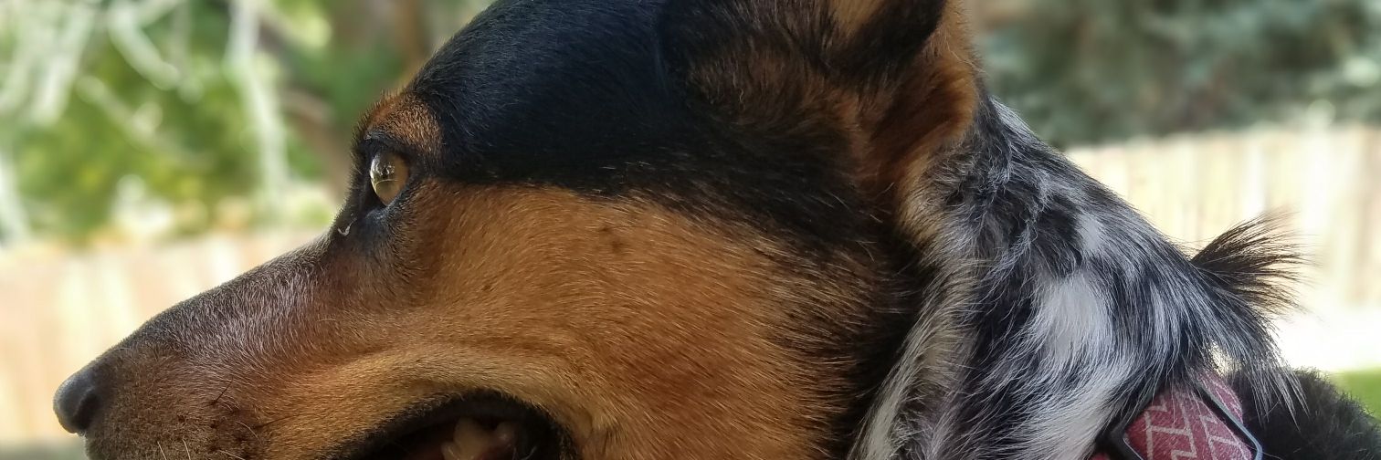 chris97ss's profile banner image