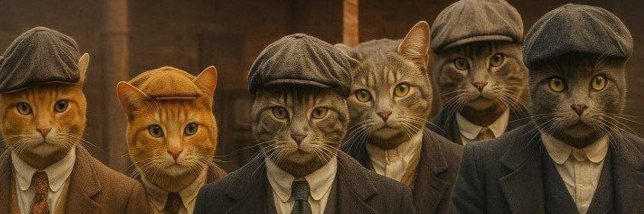ALPHA CAT banner