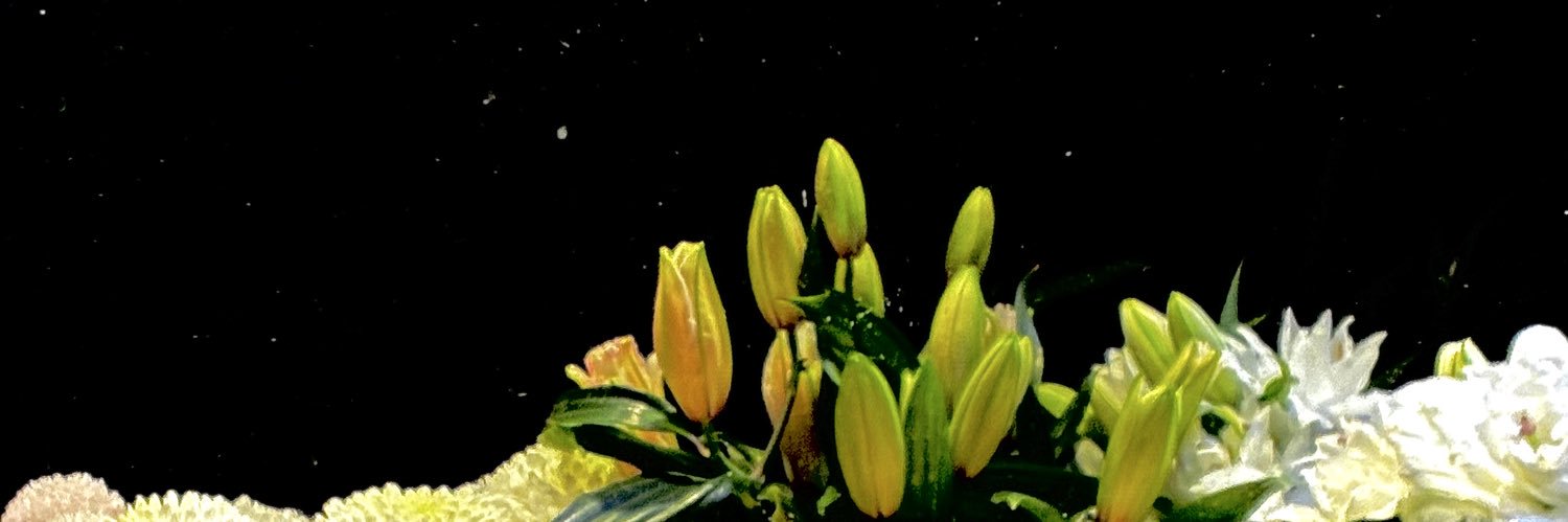 🌱 banner