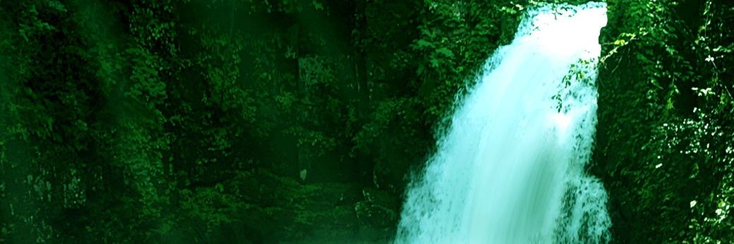 kispoyo's profile banner image