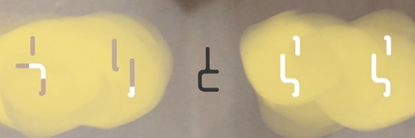 うりとらら banner