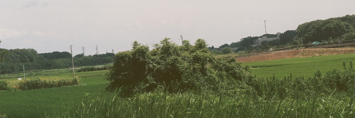 bear_miro_'s profile banner image