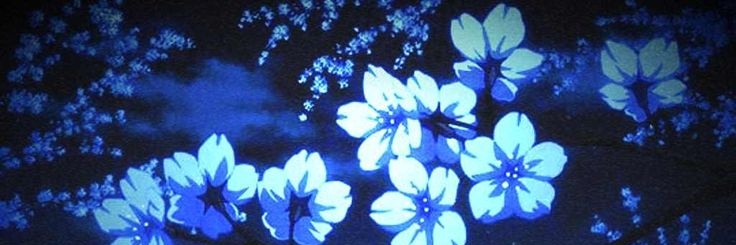 frissonJ's profile banner image