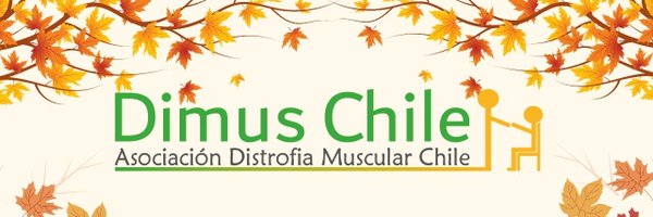 DimusChile Profile Banner
