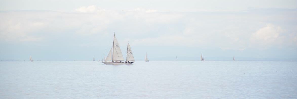 drsaraferrari's profile banner image