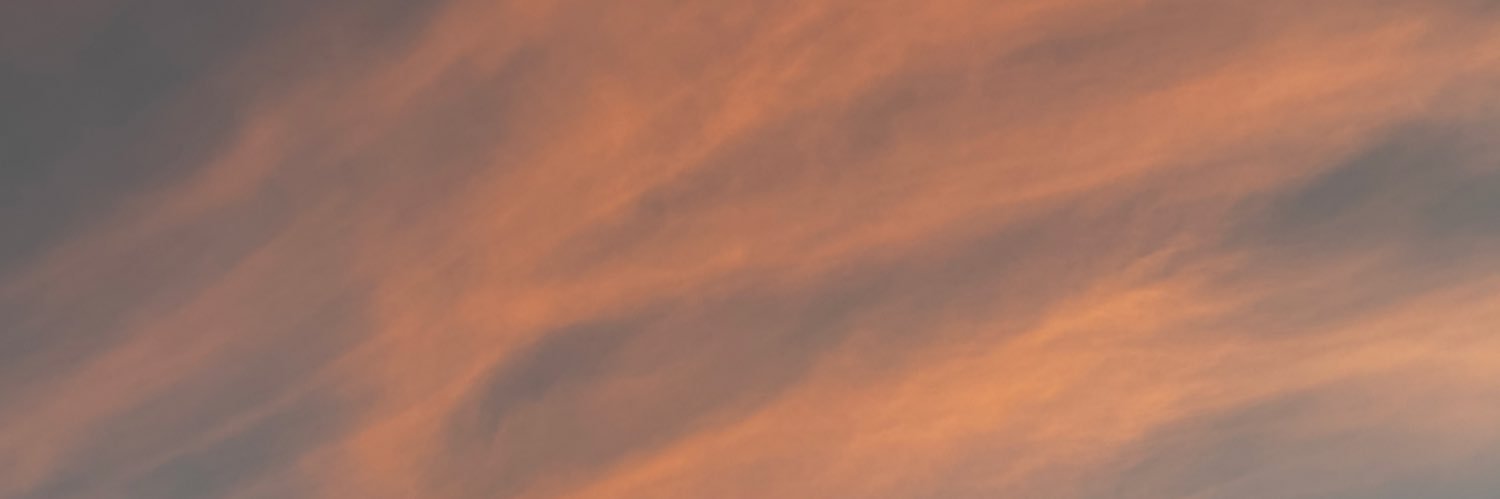 illaeveritas's profile banner image
