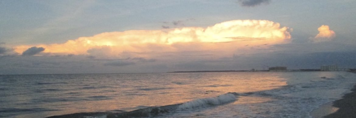 Cathy✮⋆˙ banner