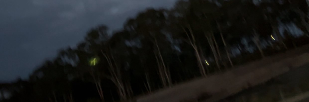 boybrogooner's profile banner image