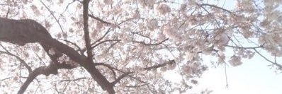 ❁ขอไม่ยุ่ง มุ่งแต่นอน banner