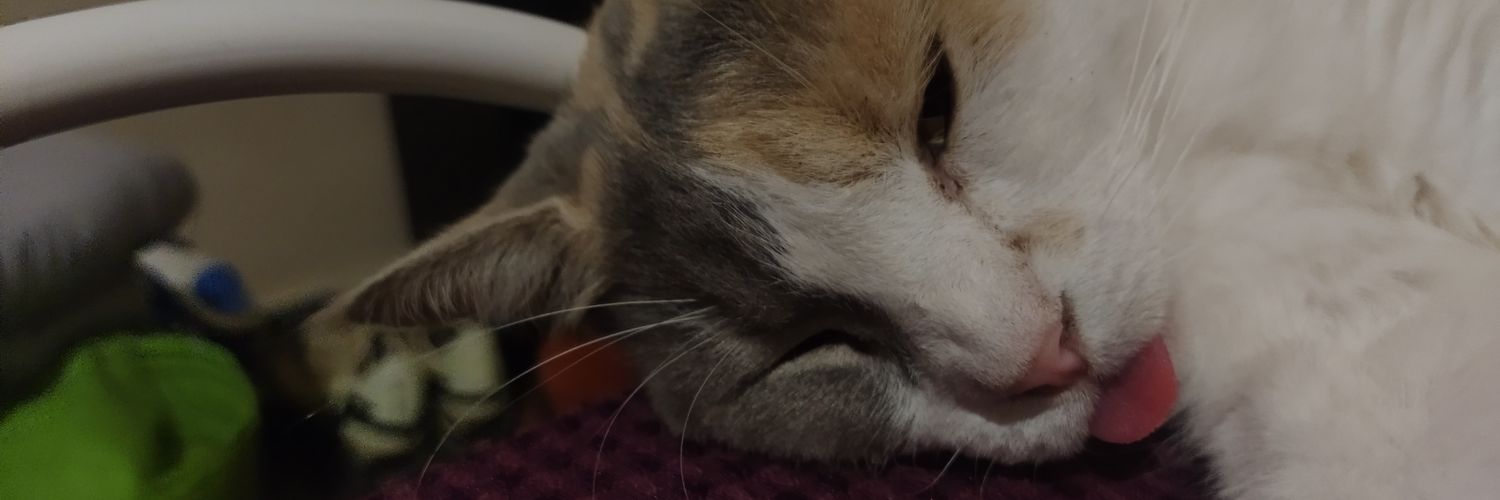 Valentinaalobos's profile banner image