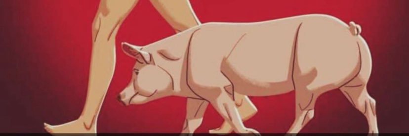 كلب ومهان وديوث banner