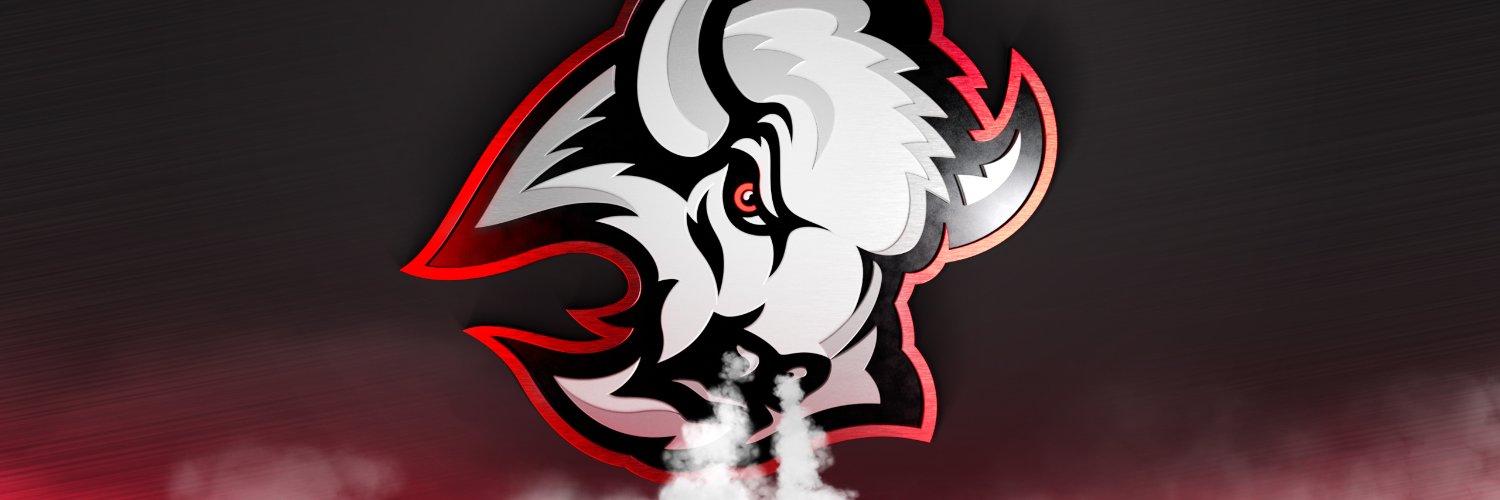 SabresHater's profile banner image