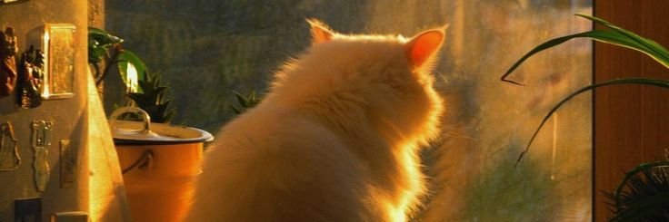 Erahannn's profile banner image
