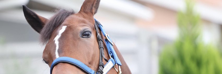 RuReRoRaRiE's profile banner image