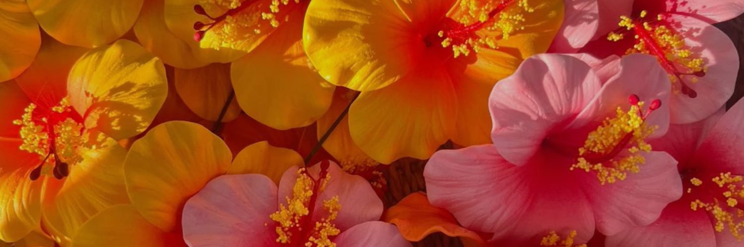 らくがきさん banner