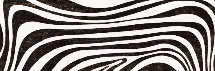 ——𝐆𝗎𝗌𝗍' 𝓥 banner