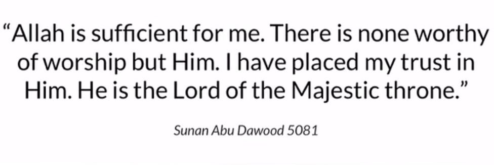 MS⚡PUCHENKO banner