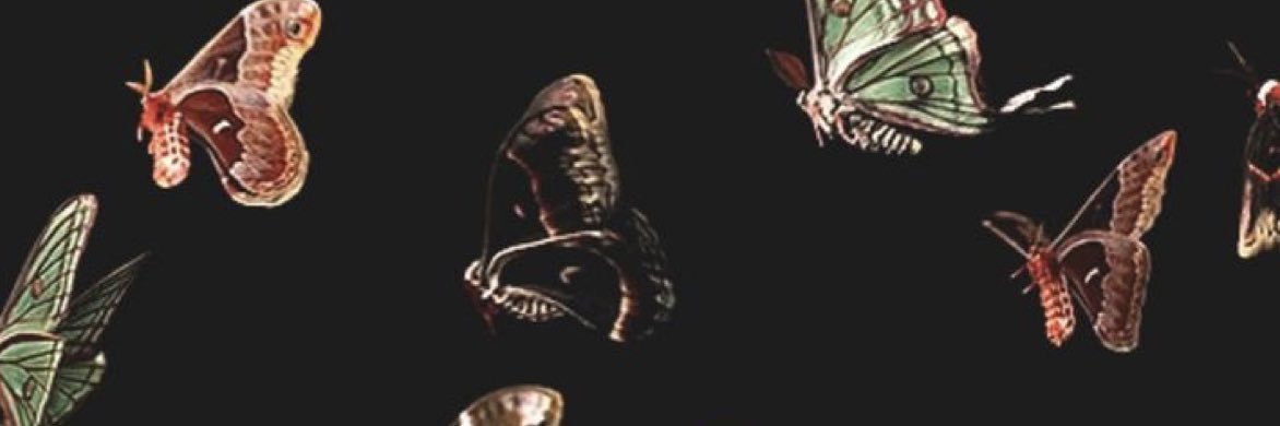 paigeeworks's profile banner image