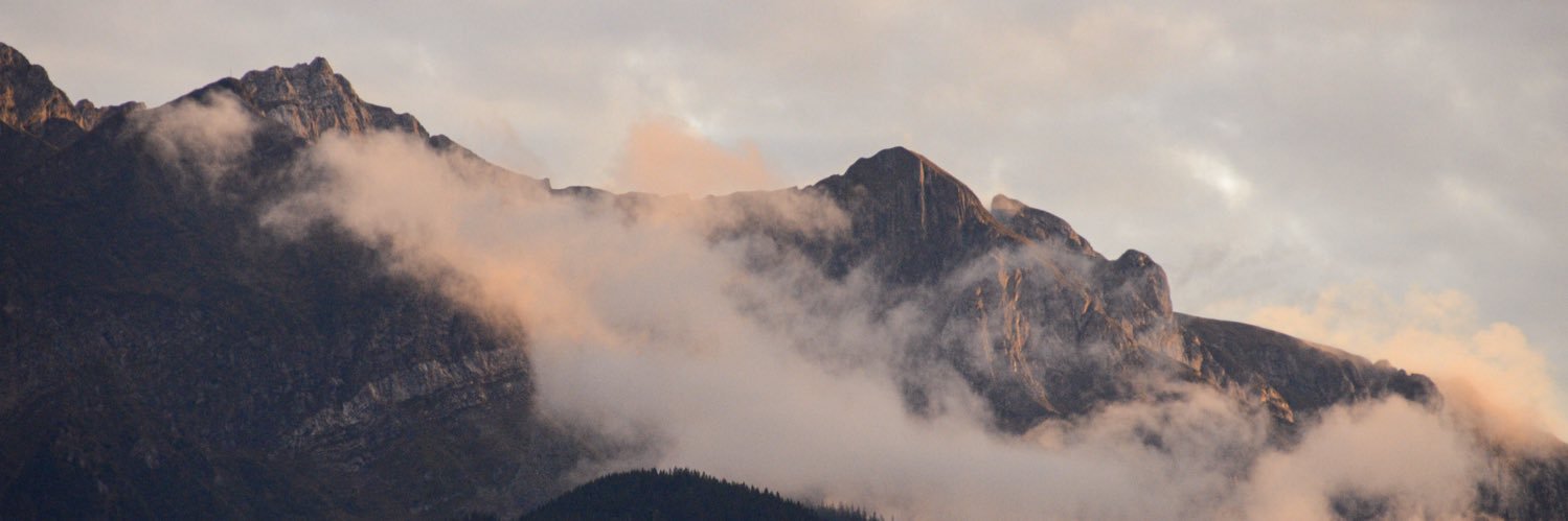stevieschloth's profile banner image
