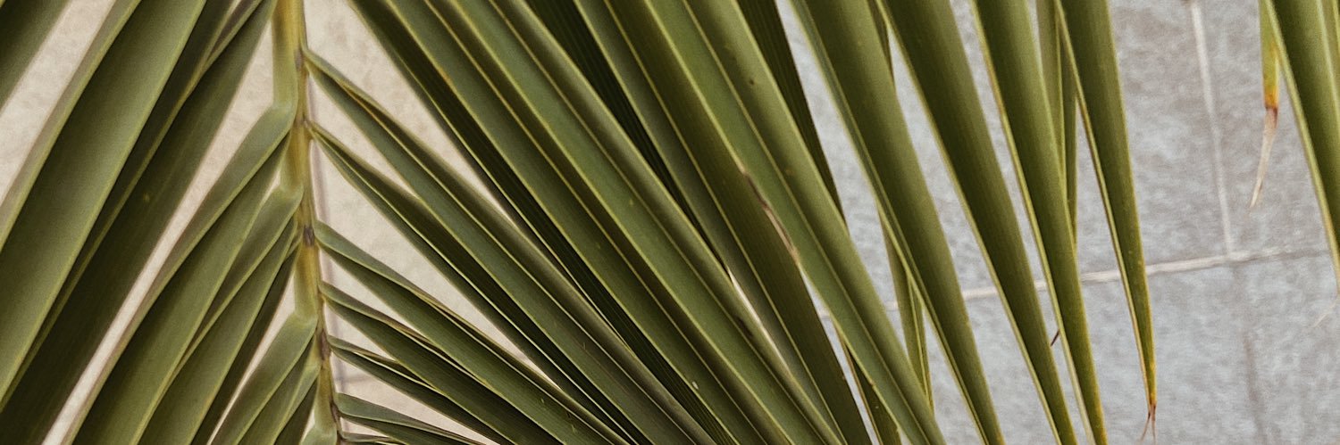 Mary_BOG's profile banner image