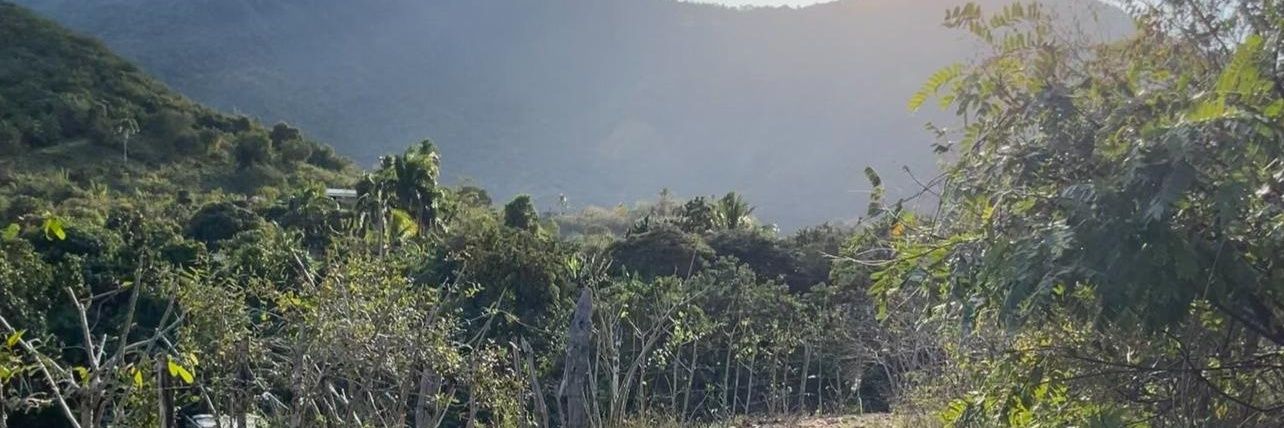 AZOTADORk's profile banner image