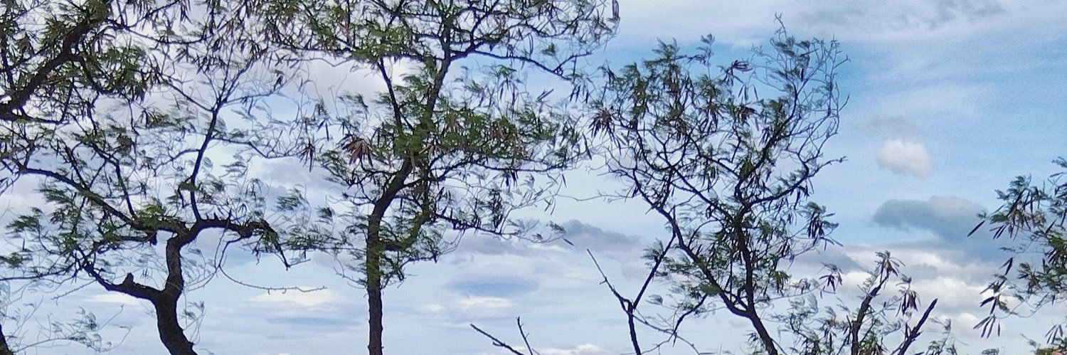 louizz01's profile banner image