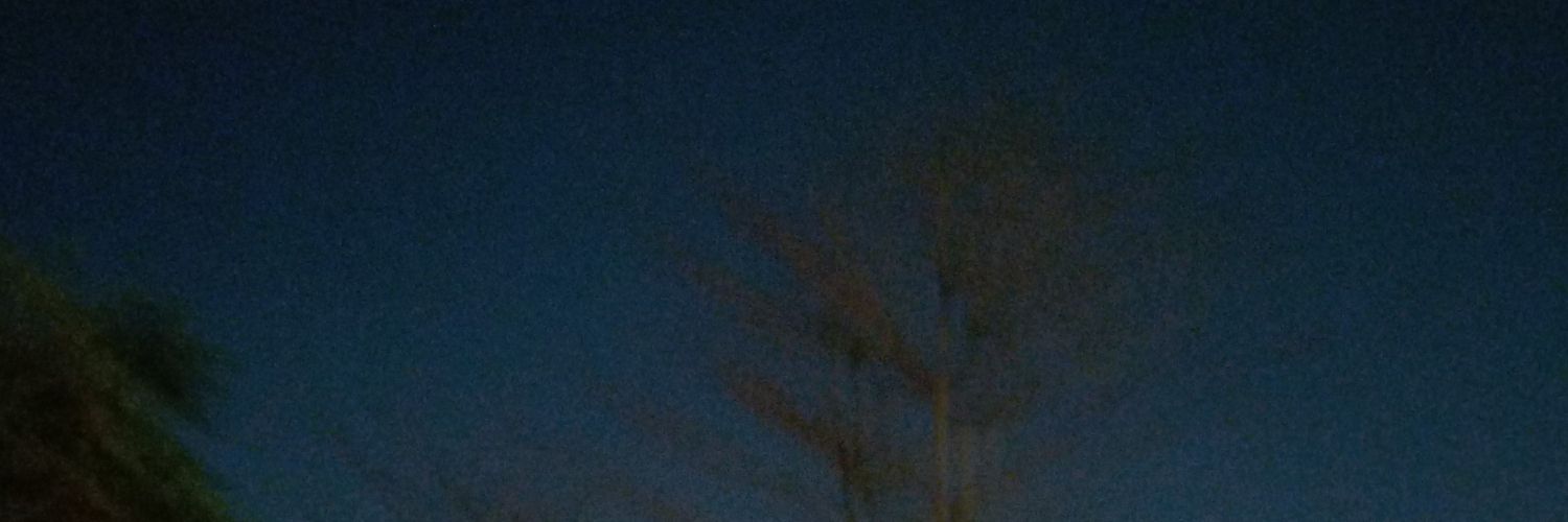 thisusnistaken banner
