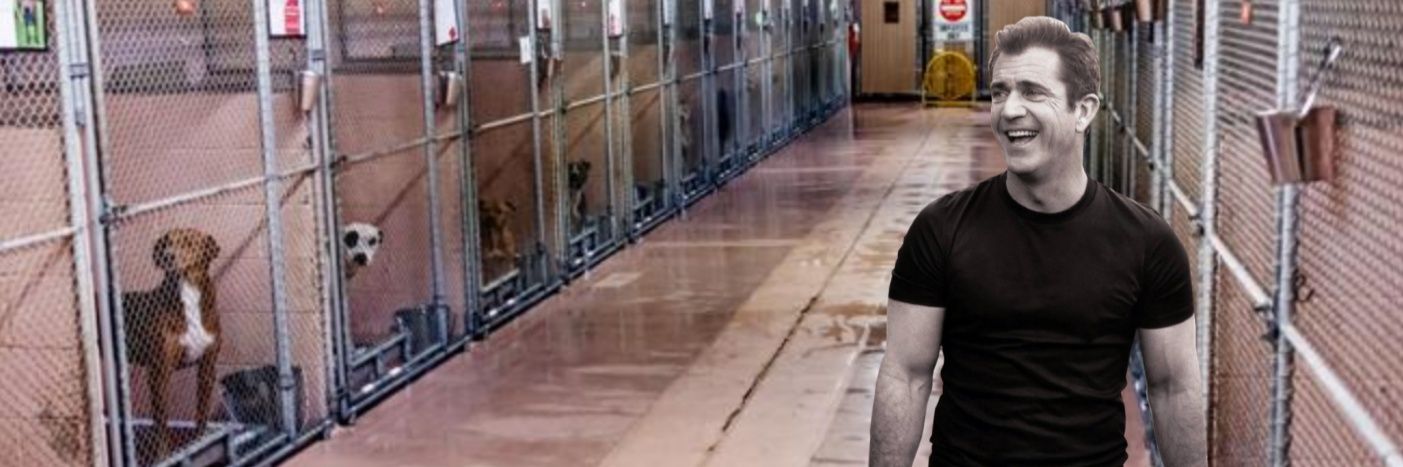 Mel Gibson fan 83's banner