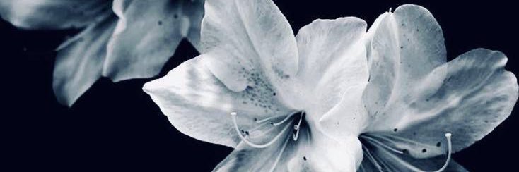 🌌 banner