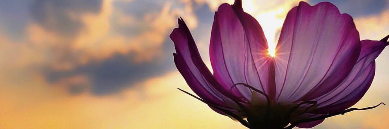 blindedbychoice's profile banner image