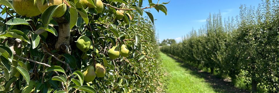 AgroLab Catalunya banner