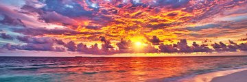 luluscumilton's profile banner image