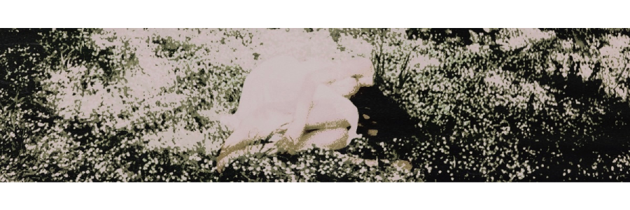 ͏ ͏ ʽʽ ͏ ͏ ͏ 𝙘𝙝𝙤𝙨𝙚𝙣 ͏ ͏ ͏ 𝖌𝐢𝐫𝐥. banner