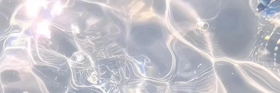🕊️ banner