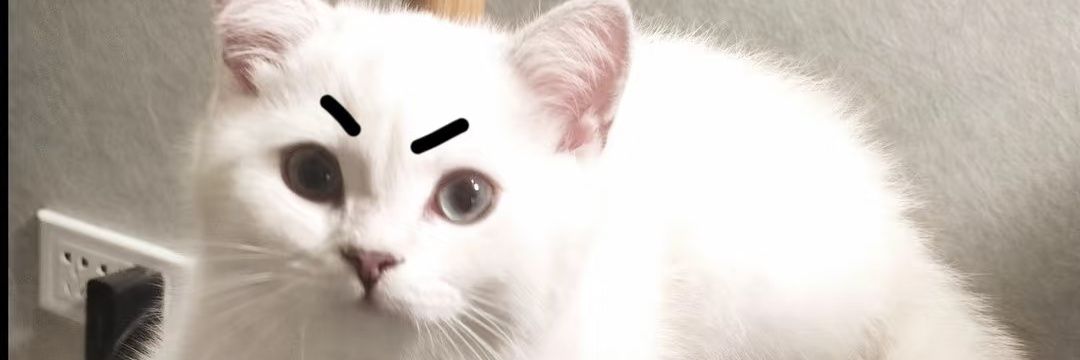Paperrrrrr_ banner