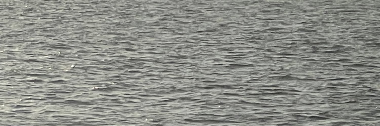 DavidLlions's profile banner image