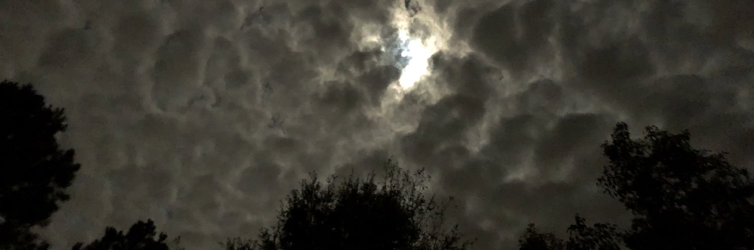 noahstephens10's profile banner image