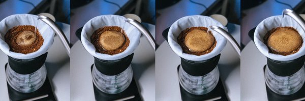 hatoon555 Profile Banner