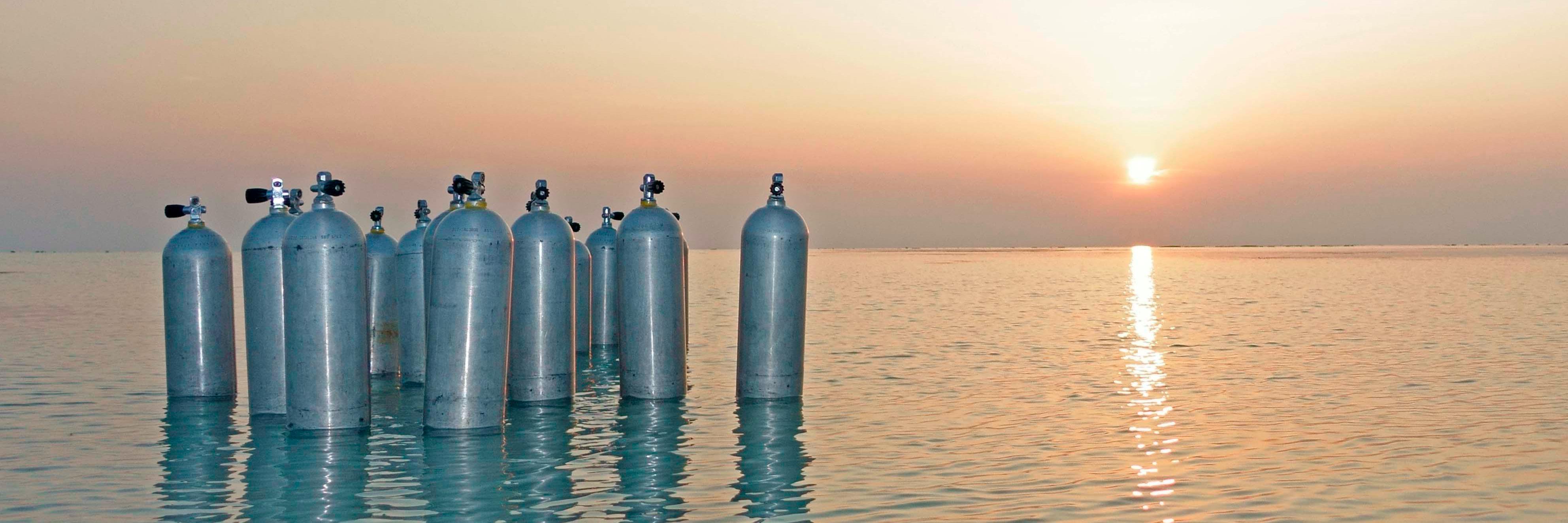 DiveIndia banner