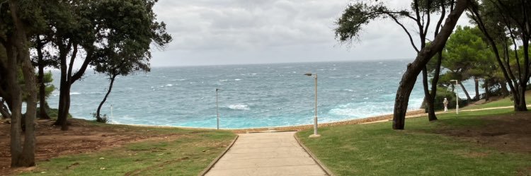 HummerOlli's profile banner image