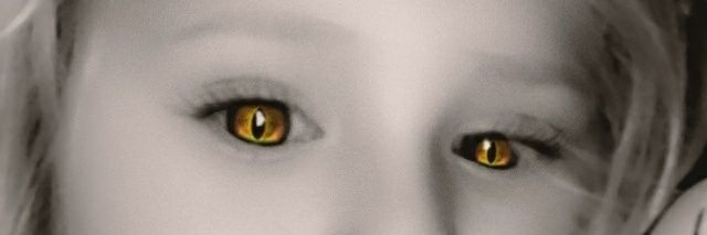 ZeMarvinho's profile banner image