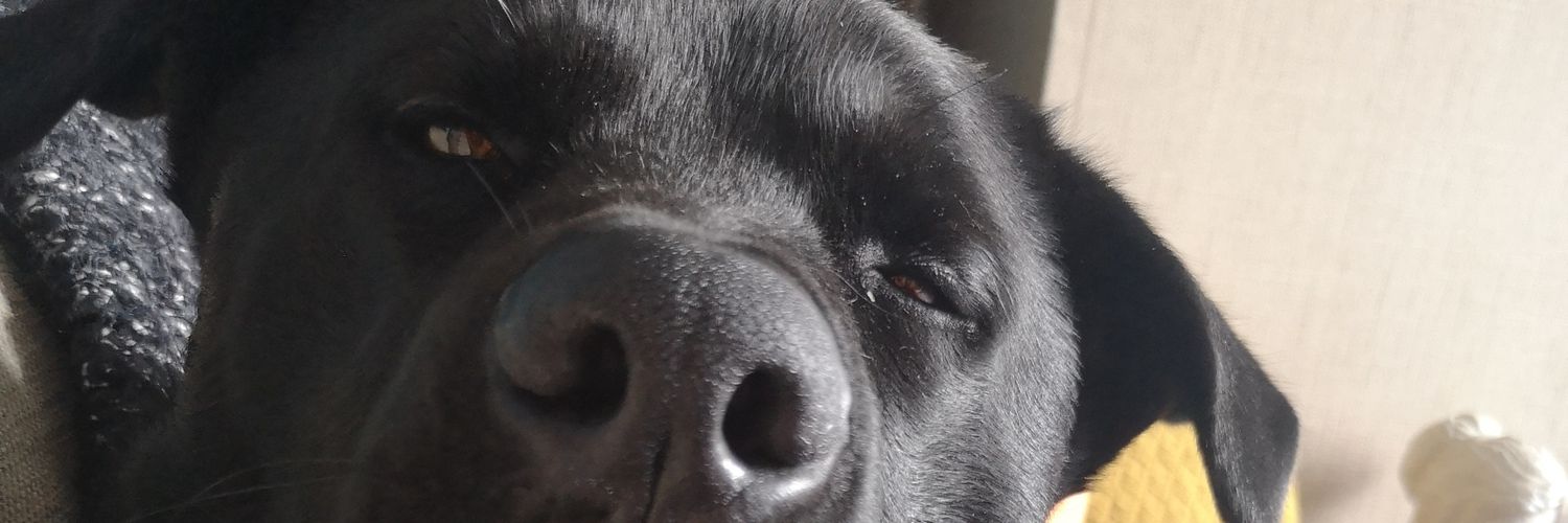 Murphy__40's profile banner image