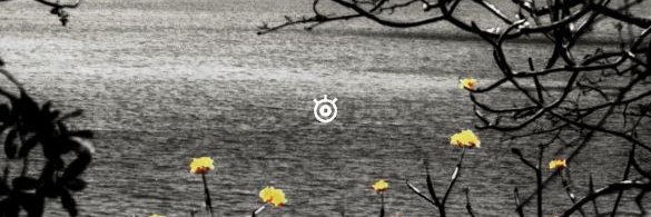 Corlz private banner