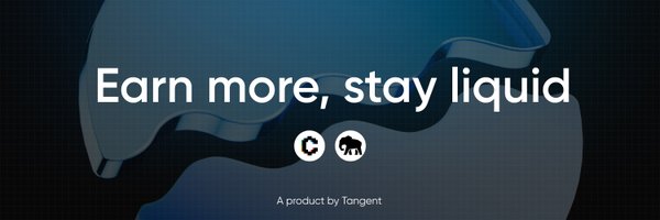 0xLiquidBoost Profile Banner