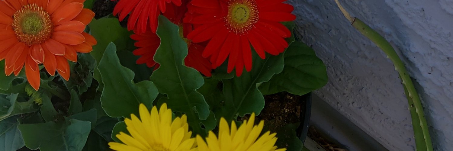 k banner