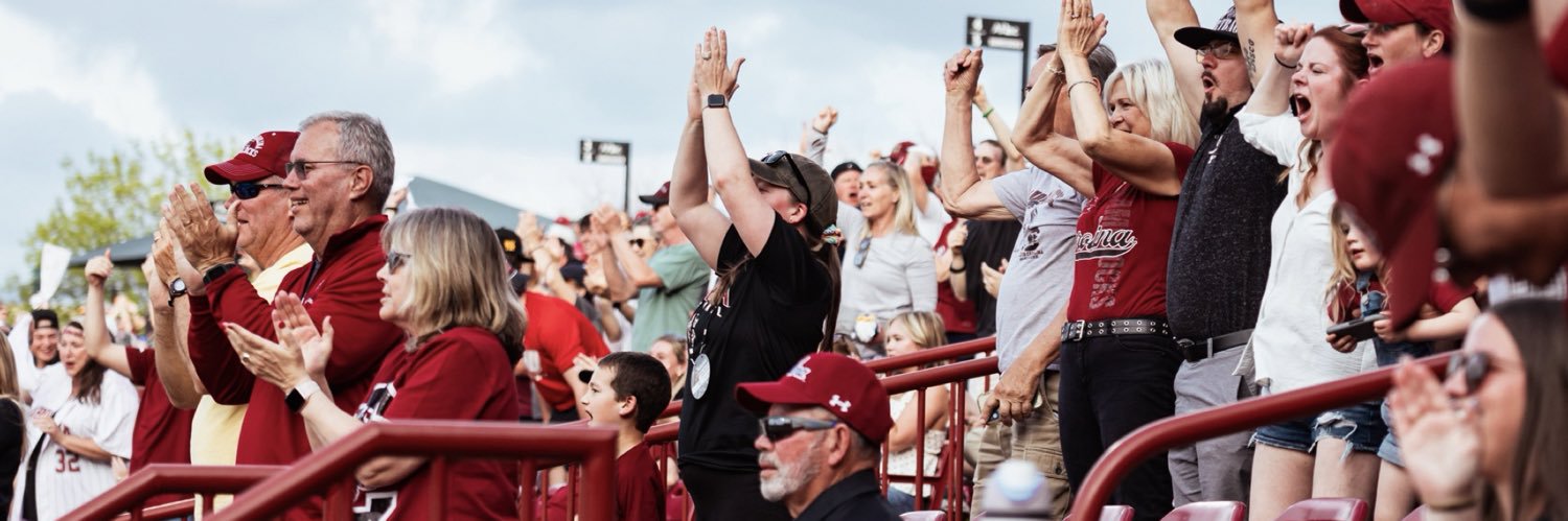 South Carolina Gamecocks's banner