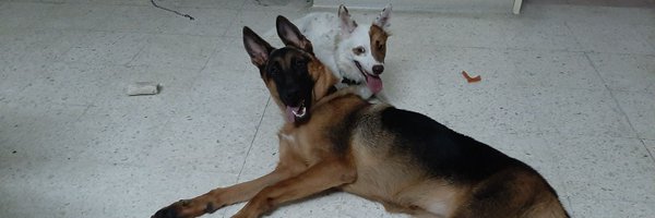 zill64 Profile Banner